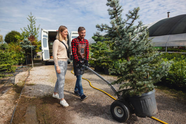 Henderson, TX Tree Services Company